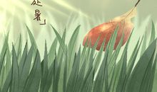 处暑为啥在立秋后面 为什么吃鸭子