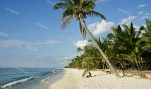 天秤座今日运势2012年8月12日