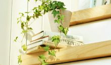 氧气占星2017年5月双鱼运势