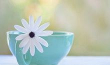 Alex水瓶座2017年5月运势