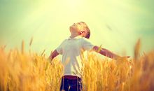 塔罗测试2013年射手座运势