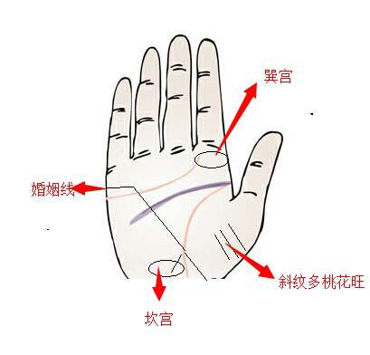 桃花五手相