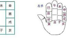 十二地支解析：未