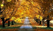 小乖麻根等卓玛2016年12月天蝎座运势