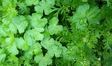 八字看能否擦出爱的火花