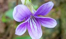 八字看哪些人一生多贵人相助