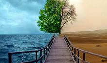 金爱伦2016年11月水瓶座运势