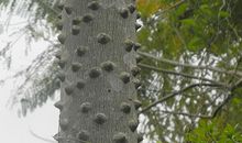 八字有财库就一定能发财吗