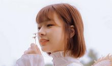 羲邑师姐生肖猪一周运势（7.30-8.5）