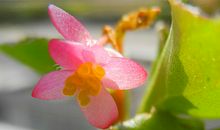 女人长相也可以看出命运吉凶