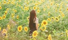 羲邑师姐生肖牛一周运势（1.1-1.7）