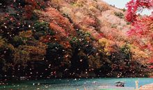 羲邑师姐生肖蛇一周运势（1.1-1.7）