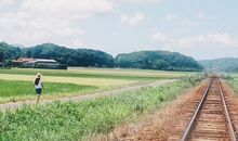 羲邑师姐生肖马一周运势（1.1-1.7）