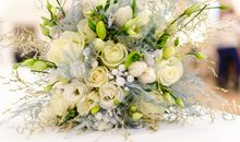 羲邑师姐生肖马一周运势（2.5-2.11）