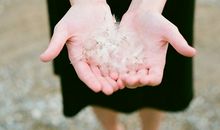 羲邑师姐2017年农历6月生肖鸡运势