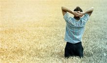 这几个生肖最幸福，财运桃花都旺盛，人财两得