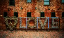 羲邑师姐生肖鸡一周运势（2.5-2.11）