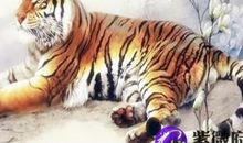 1974年属虎的人2018年运程大全及破解