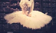 金牛座最怕的对手是谁