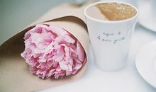 羲邑师姐生肖狗一周运势（1.22-1.28）