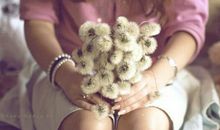 羲邑师姐2017年农历6月生肖狗运势