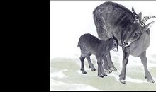 1967年属羊的人2018年运程大全及破解