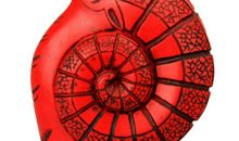 1955年属羊的人2018年运程大全及破解