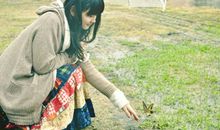 灵运大师11月17日生肖运势