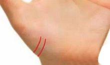 能被宠爱一生的手相