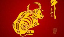 1949年属牛的人2016年运程大全及破解