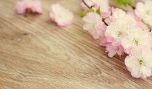 6月财运上涨和下跌的属相