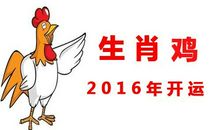 2005年属鸡的人2018年运程大全及破解