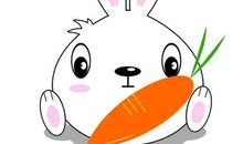 1975年属兔的人2018年运程大全及破解