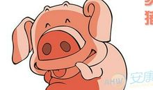 1947年属猪的人2016年运程大全及破解