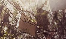 金牛女最爱背着男友干嘛