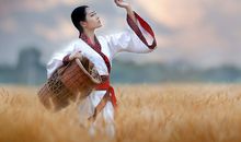 羲邑师姐生肖猪一周运势（7.23-7.29）