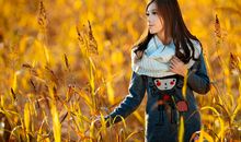 羲邑师姐生肖牛一周运势（9.17-9.23）