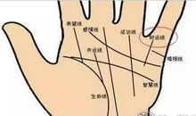 7中偏财运极佳的手相
