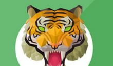 十二月生肖虎运程点评