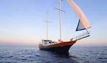 羲邑师姐2018年农历7月生肖龙运势