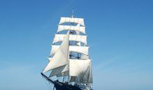 羲邑师姐2018年农历7月生肖猴运势