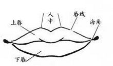 面相算命图解：相口秘诀
