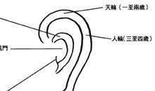 面相算命图解：面相耳朵