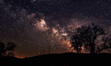 姝畅居士2019年7月十二生肖运势