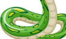 1941年属蛇的人2018年运程大全及破解