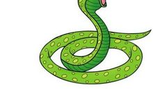 1977年属蛇的人2018年运程大全及破解