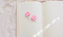 双星记2017年星座运势水瓶座