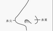 面相算命图解：面相鼻子