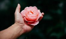 易鑫2019年4月26日生肖运势