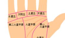 手相图解解析你为什么漏财